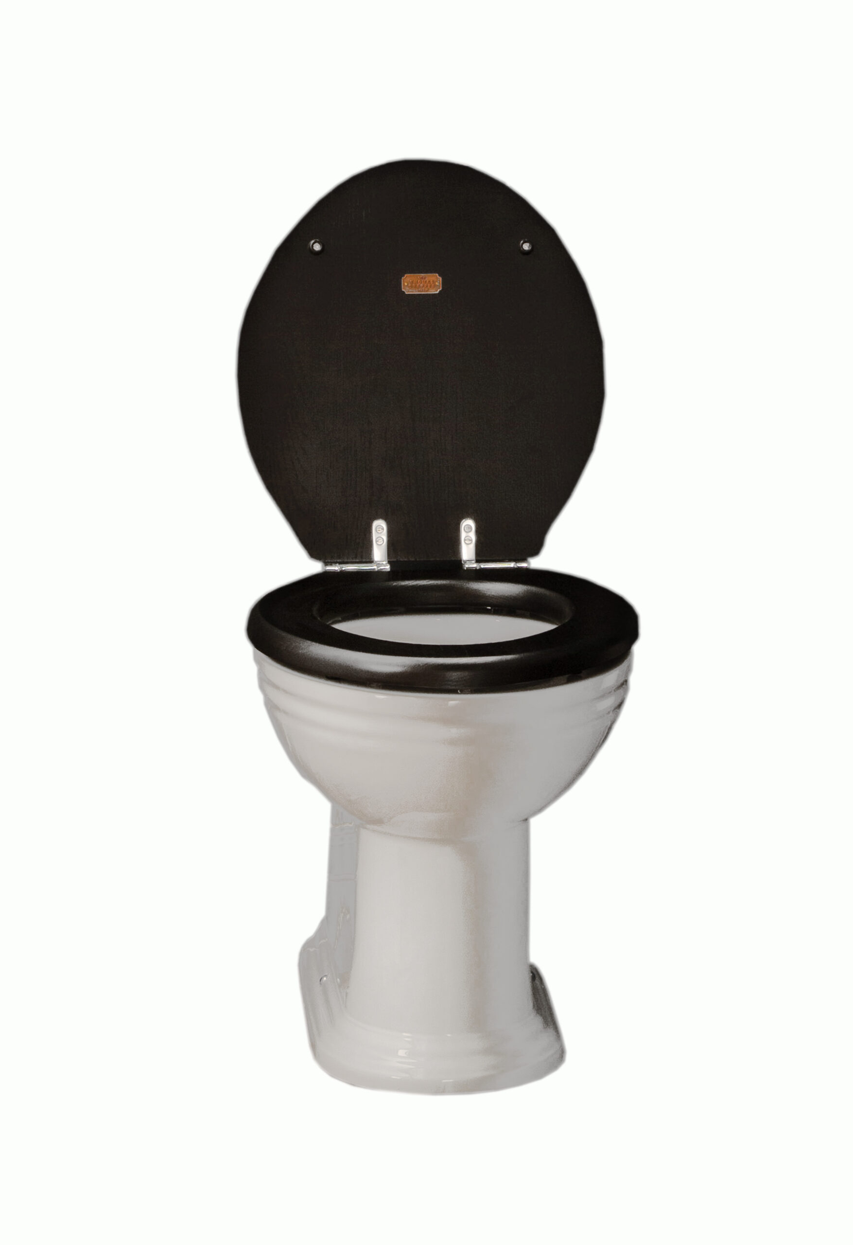 Thomas Crapper Venerable Back-to-Wall Toilet with BTW Seat (open)Seat