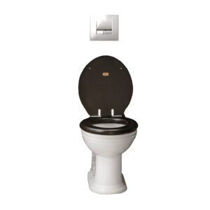 Venerable Back-To-Wall Toilet Set - Polished Brass